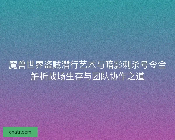 魔兽世界盗贼潜行艺术与暗影刺杀号令全解析战场生存与团队协作之道